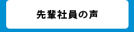 先輩社員の声